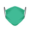 91 - Face Mask  Mint Color case, cover, bumper